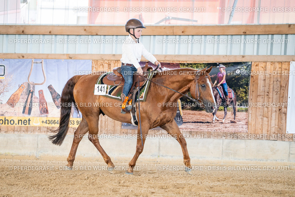 DSC03131 | Pferdegrafie