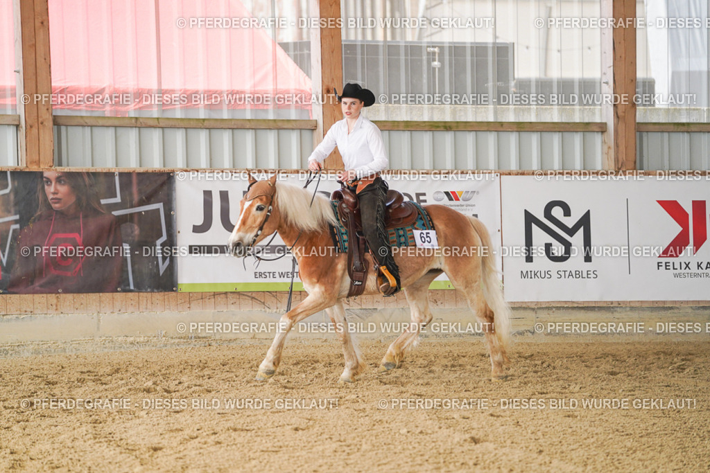 DSC01242 | Pferdegrafie