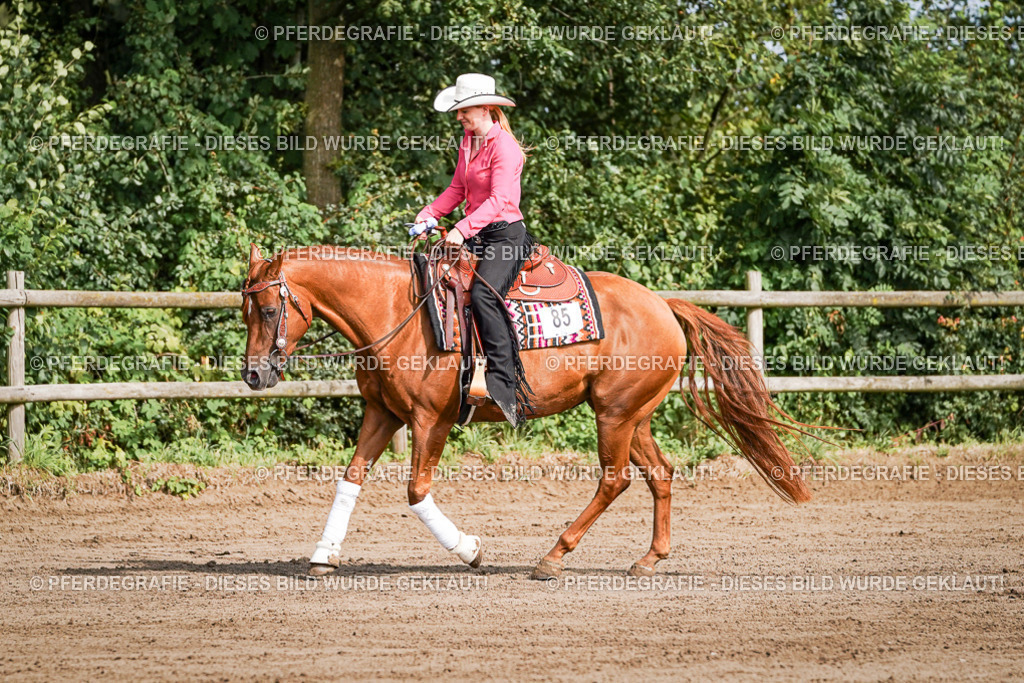 DSC09532 | Pferdegrafie