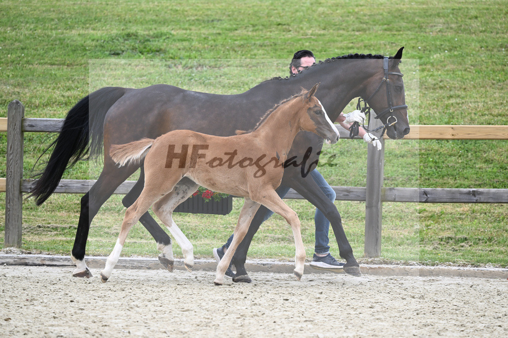 Kat-Nr. 63 SF Hans Heinrich_Sanladerer_17230545 | hf-fotografie - Realizzato con Pictrs.com