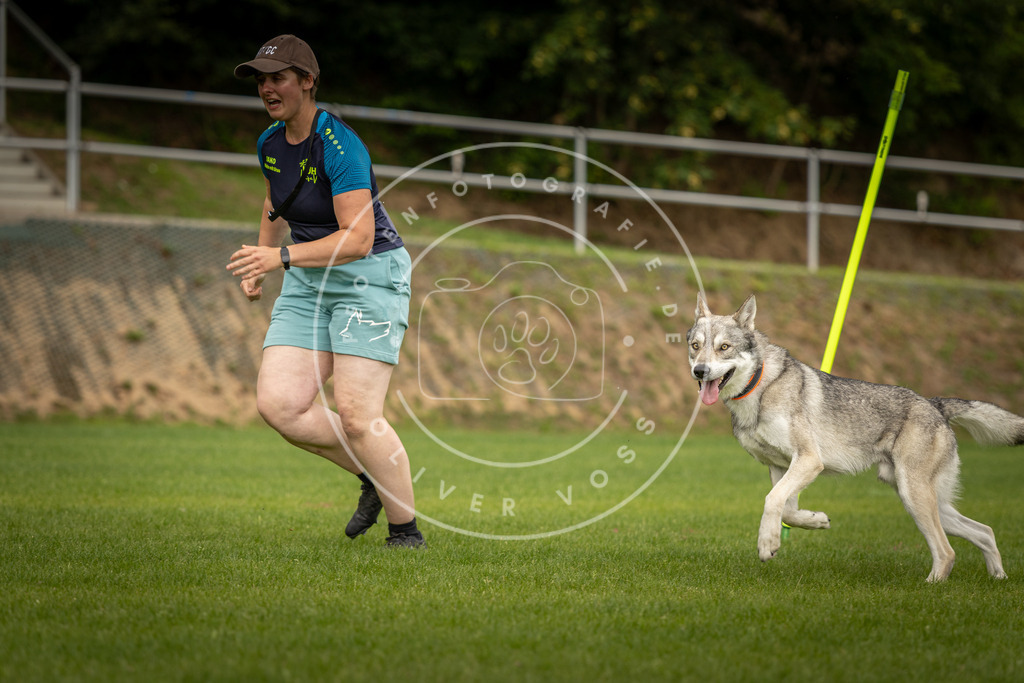 Pfotenfotografie_DV3A1701 | Hundefotografie, Tierfotograf, Pfotenfotografie, Fotoshooting Hund, Hunde Portrait, Hundesport, Hundeportraits, Heideshooting, Hunde, Sportfotograf, Hundefotograf, Turnierhundsport, THS,  - Realisiert mit Pictrs.com