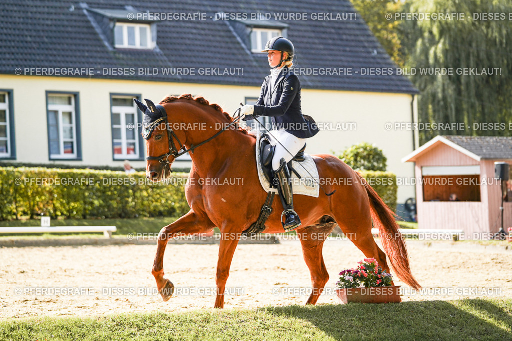 DSC07403 | Pferdegrafie