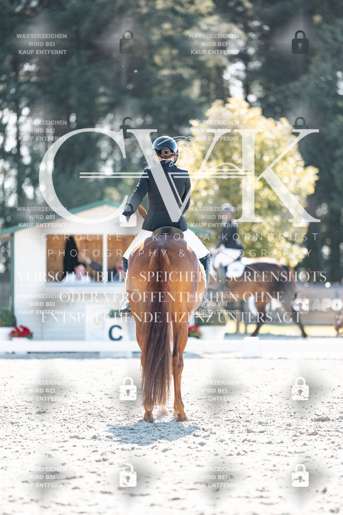 CK905989 | Turnierfotografie Pferdefotografie Trier Rheinland-Pfalz Pferdesport Reitsport Tierfotografie Sportfotografie Pferdevideo Pferdevideografie Equestrianvideography equestrianphotography  - Realisiert mit Pictrs.com