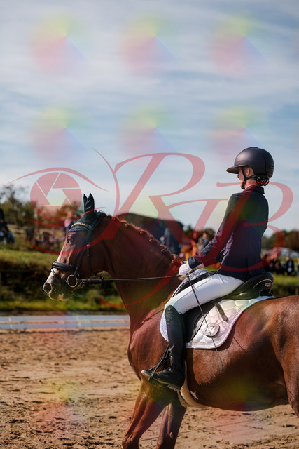 2026_10_03_Siefer-Hof_123450_Z63_53347534 | Professionelle Reitsport-, Turnier- und Eventfotografie von Robert Broda. Galerien mit ausgewählten und bearbeiteten Bildern direkt online ansehen und bestellen.