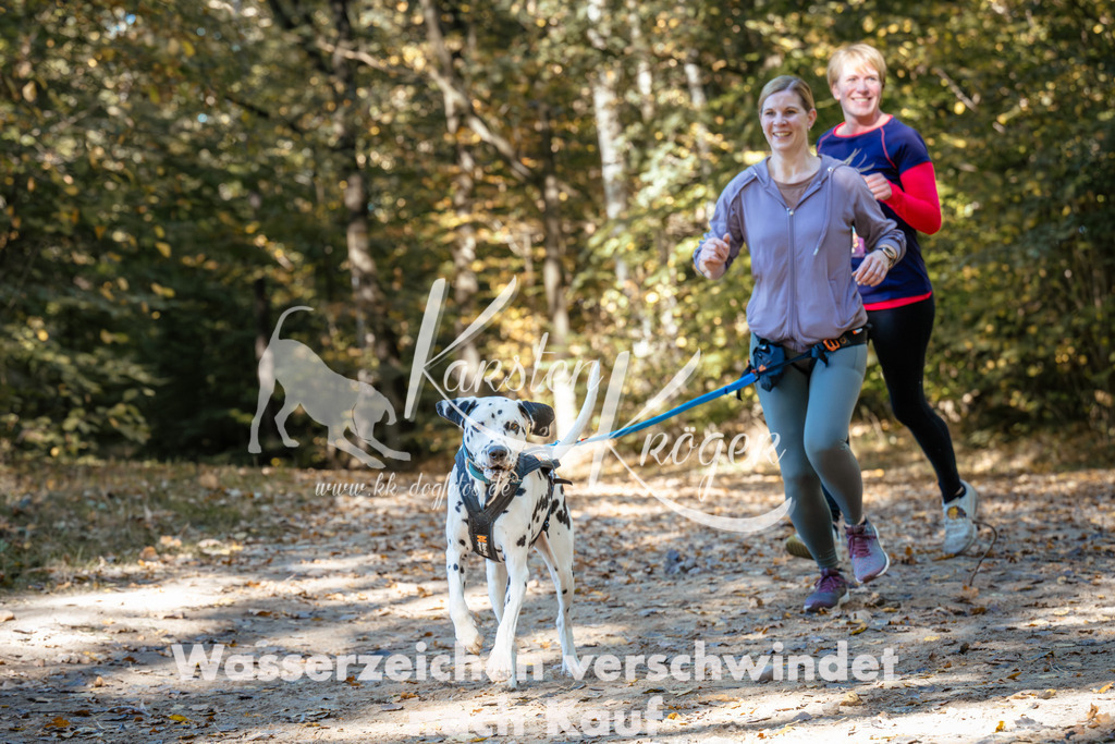 1213_ZZ94557 | kk-dogfotos