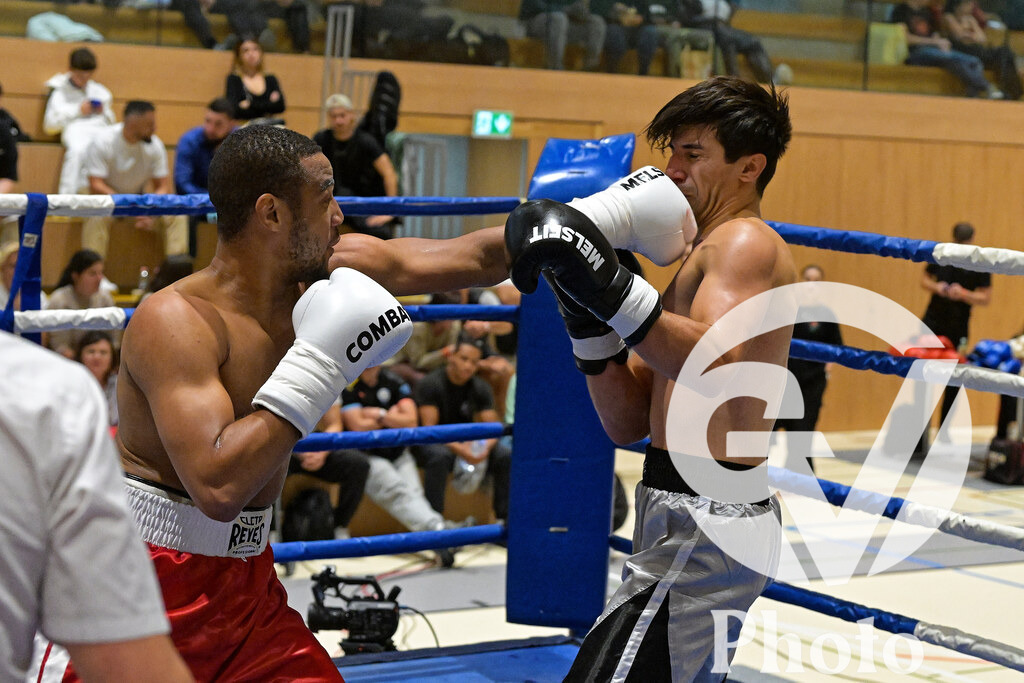 DSC_5394 | Velletri Photo