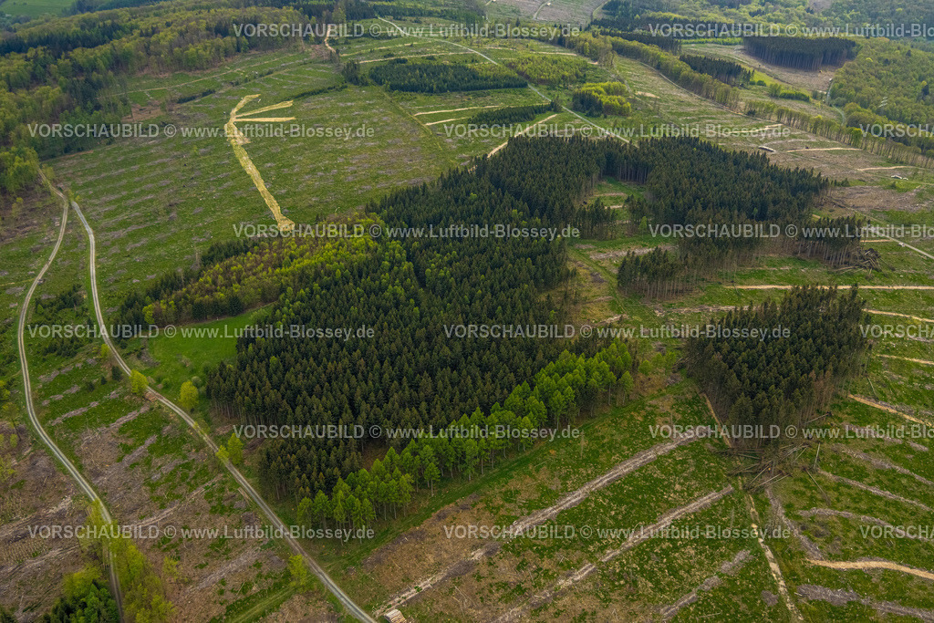 Burbach240502396GrosserStein | Luftbild, Waldgebiet Die Höh und NSG Naturschutzgebiet Großer Stein, Waldschäden, Hügel und Täler mit Wohngebieten, Holzhausen, Burbach, Nordrhein-Westfalen, Deutschland