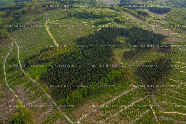 Burbach240502396GrosserStein | Luftbild, Waldgebiet Die Höh und NSG Naturschutzgebiet Großer Stein, Waldschäden, Hügel und Täler mit Wohngebieten, Holzhausen, Burbach, Nordrhein-Westfalen, Deutschland