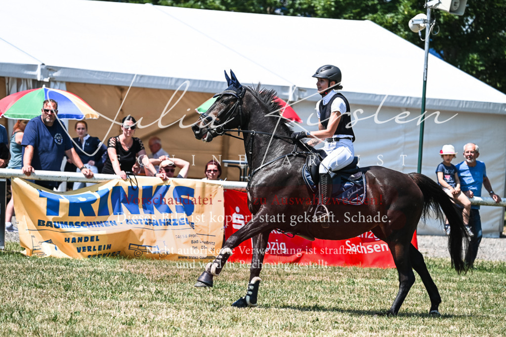 DSC_0287 | Pferde- und Turnierfotografie in Westsachsen. Pferdeportraits, Auftragszeichnungen und intuitive Kunst.