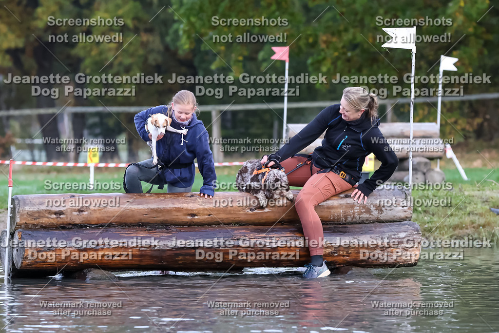 Dog Paparazzi - Strongdog 10-25-6487 | Dog Paparazzi Jeanette Grottendiek Fotografie & Videografie - Realisiert mit Pictrs.com