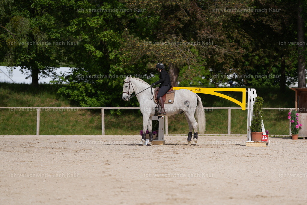 PI26_ST_Jan_Picutures7C_06910.JPG | working equitationturnier fotograf videograf stoibphotography marixx film working equitation deutschland reitsport turnierfotografie eventfotografie equestrian events