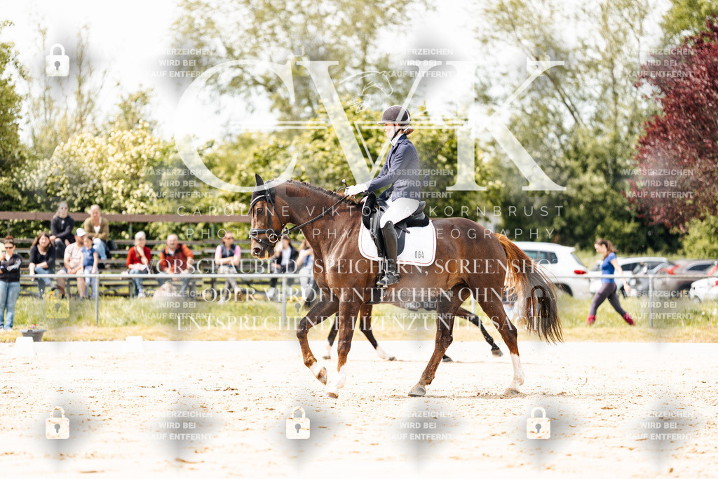 CK902143 | Turnierfotografie Pferdefotografie Trier Rheinland-Pfalz Pferdesport Reitsport Tierfotografie Sportfotografie Pferdevideo Pferdevideografie Equestrianvideography equestrianphotography  - Realisiert mit Pictrs.com