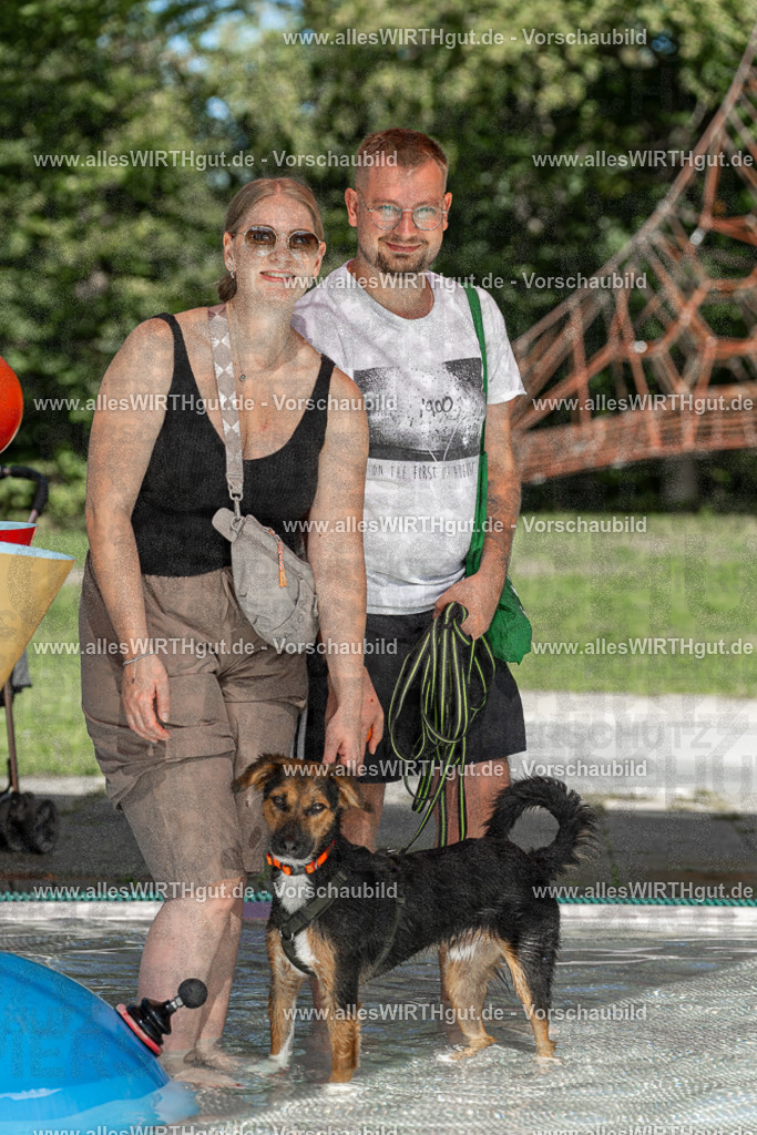Hundeschwimmen_Volksbad_2026-allesWIRTHgut_Tierfotografie-2609061400-7R501025 | Professionelle Tierfotografie in Mönchengladbach von Daniel Wirth (allesWIRTHgut). Liebevolle & natürliche Bilder von Hunden & Katzen für unvergessliche Erinnerungen.