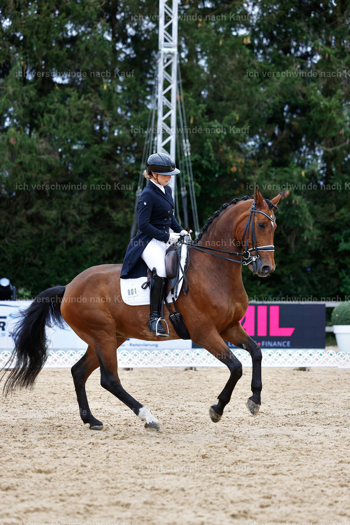 6-001-AMATUER-DRESSUR S_  -StoibPH-3555 | working equitationturnier fotograf videograf stoibphotography marixx film working equitation deutschland reitsport turnierfotografie eventfotografie equestrian events