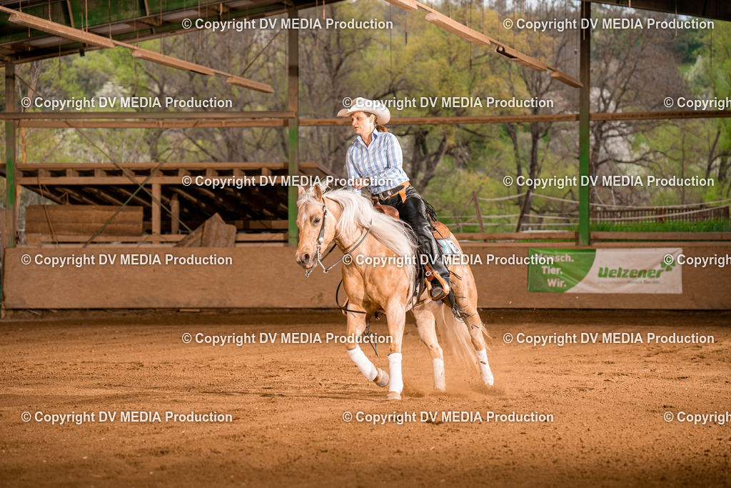 BA301265 | dv-media-shop - Realisiert mit Pictrs.com