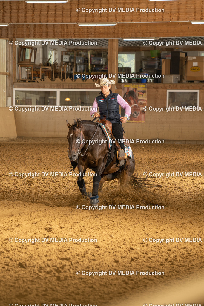 LAU00667 | dv-media-shop - Realisiert mit Pictrs.com