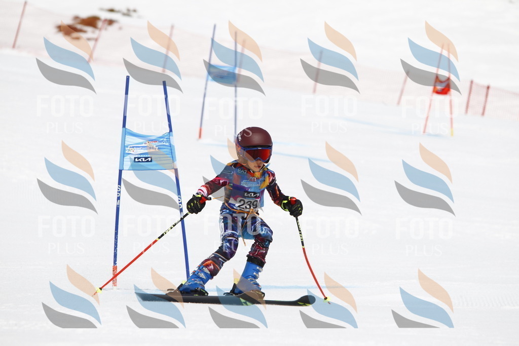 _U3G6077 | holidayphoto