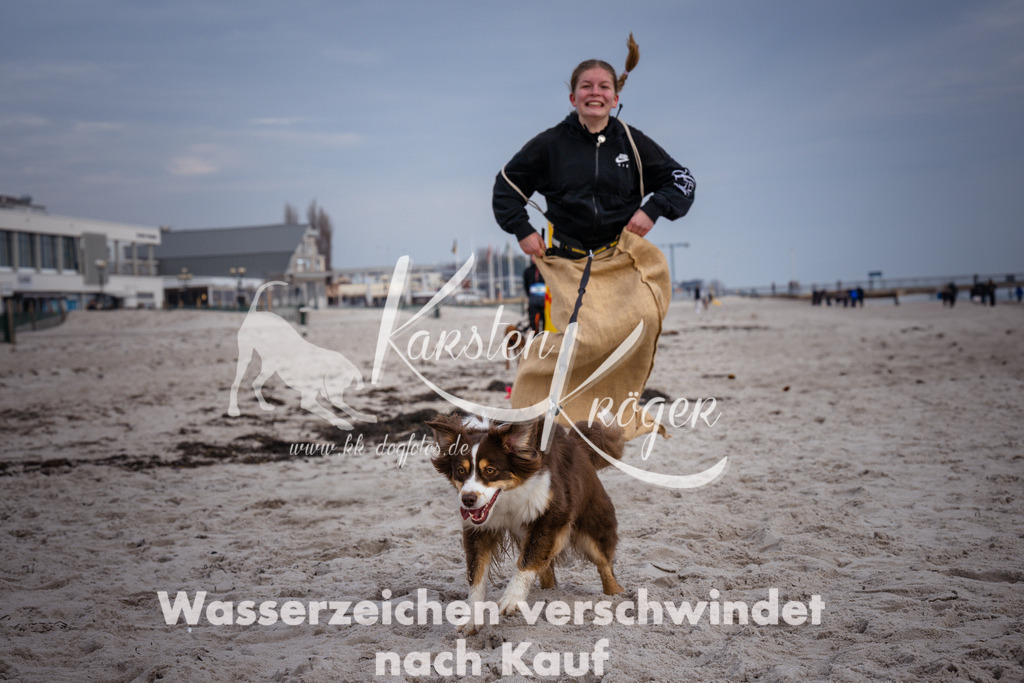 1301_ZZ97793 | kk-dogfotos