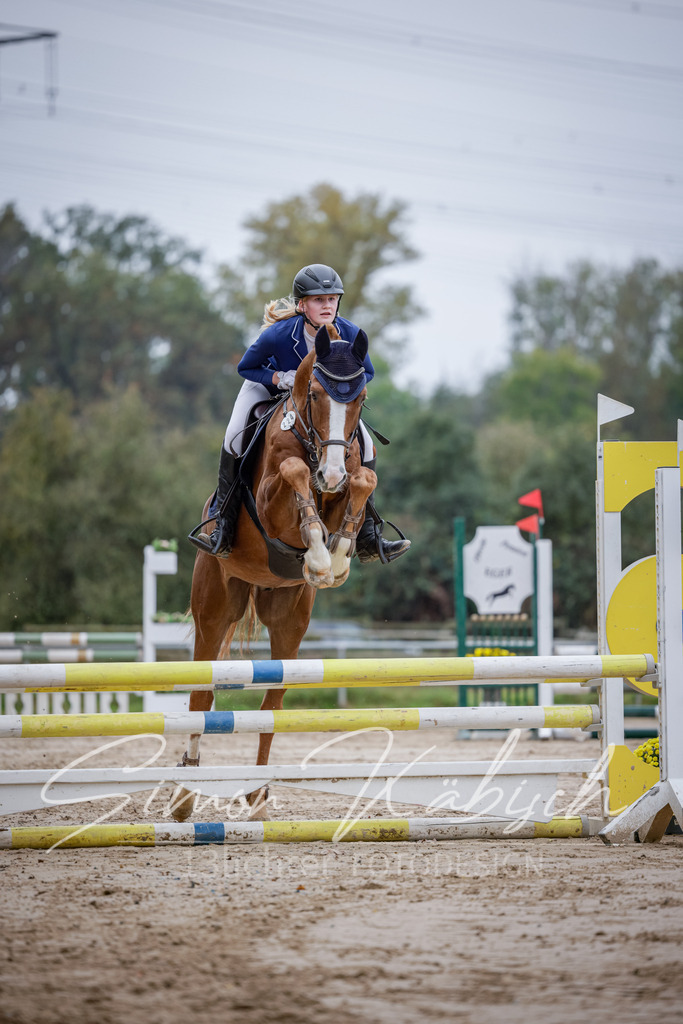 20251012-_3LI3271 | Tierfotografie Pferde, Hunde, Katzen, Haustiere.
Turnierfotografie Reitturniere, Reiten, Springreiten, Dressur in Hanau, dem Main-Kinzig-Kreis und dem Rhein-Main- Gebiet um Frankfurt