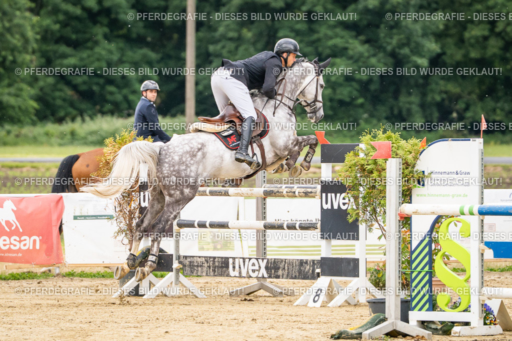 DSC06108 | Pferdegrafie