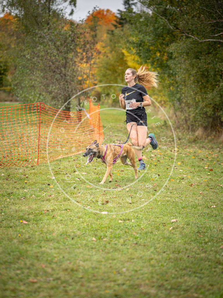Pfotenfotografie_DV3A2877 | Hundefotografie, Tierfotograf, Pfotenfotografie, Fotoshooting Hund, Hunde Portrait, Hundesport, Hundeportraits, Heideshooting, Hunde, Sportfotograf, Hundefotograf, Turnierhundsport, THS,  - Realisiert mit Pictrs.com