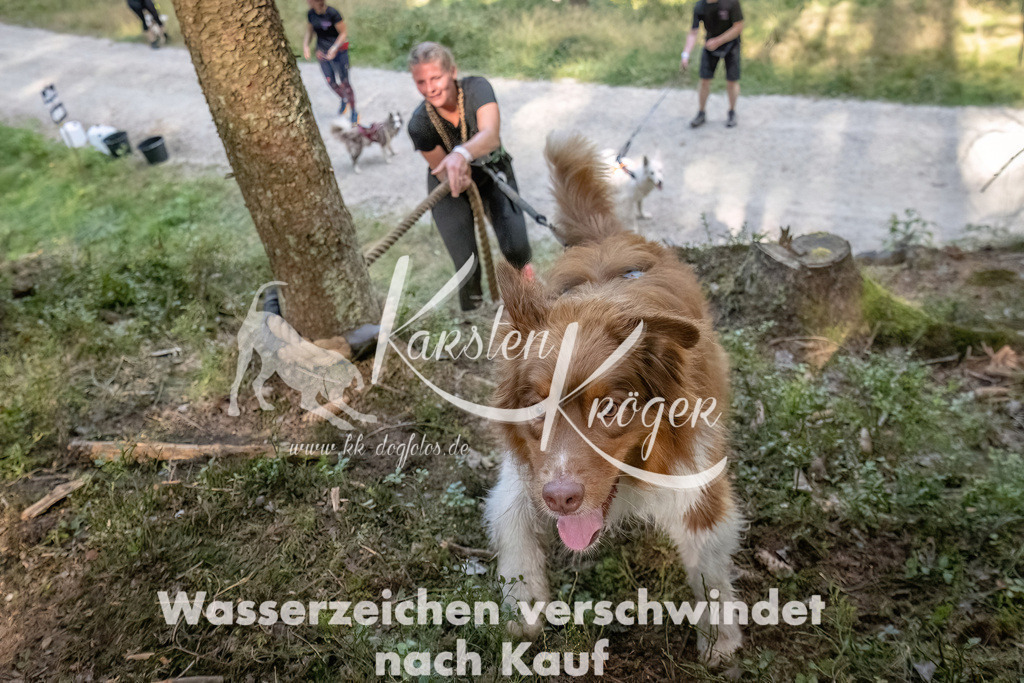 1052_ZZ93197 | kk-dogfotos