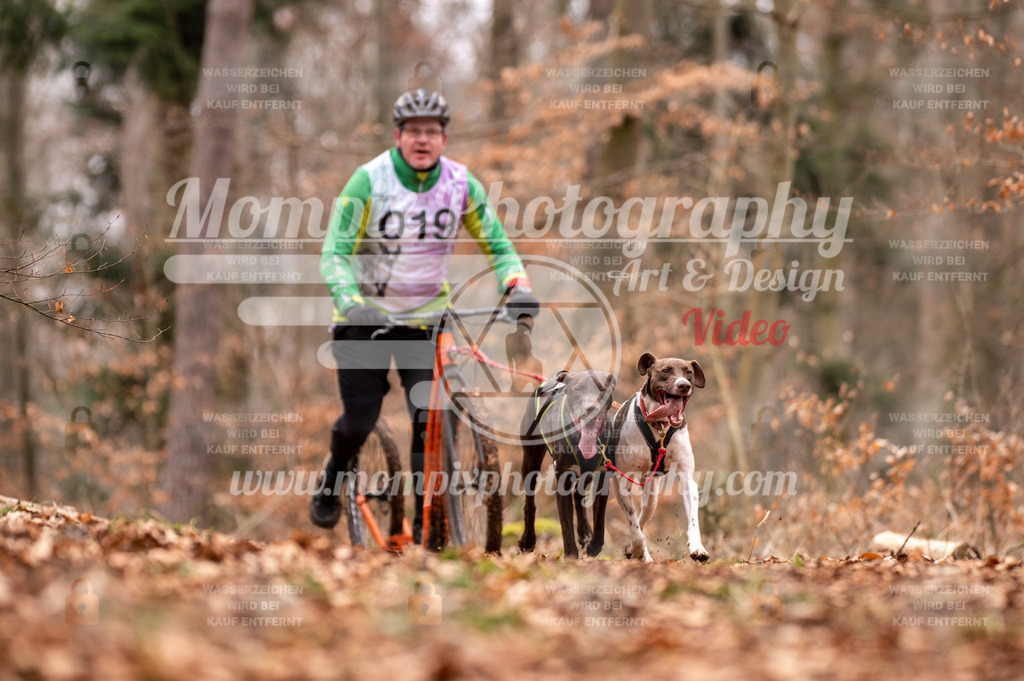 AKM_ST_2023_SAM_DS2-35 | PayLife