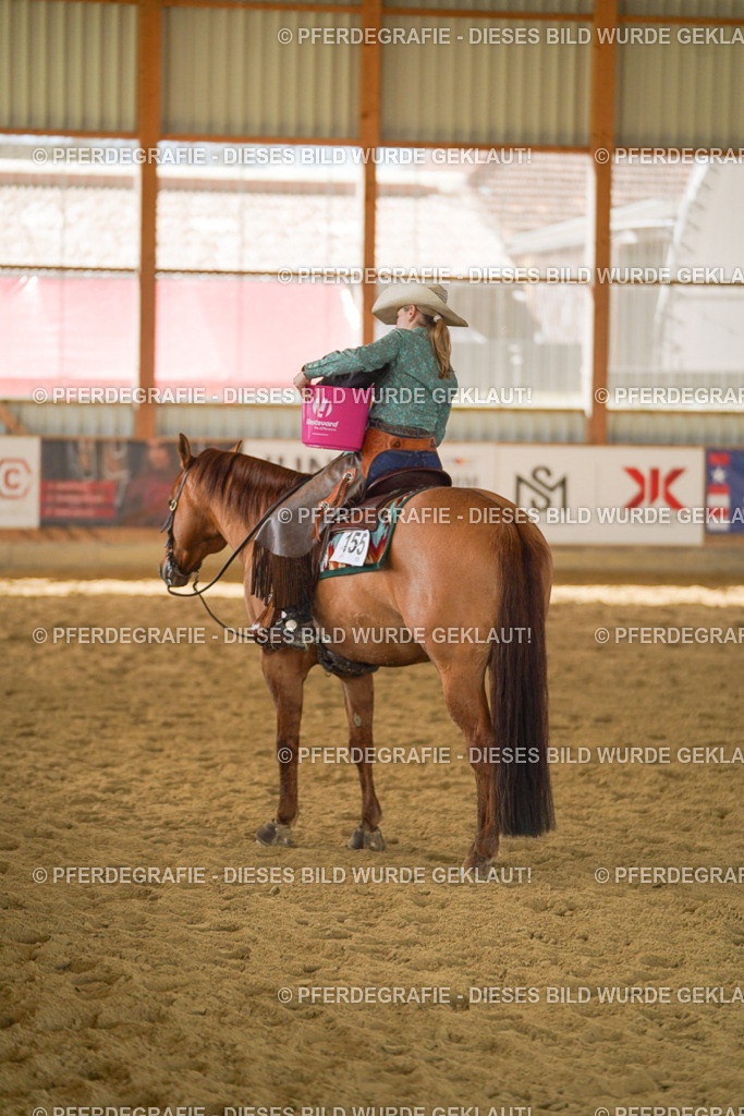 DSC08460 | Pferdegrafie