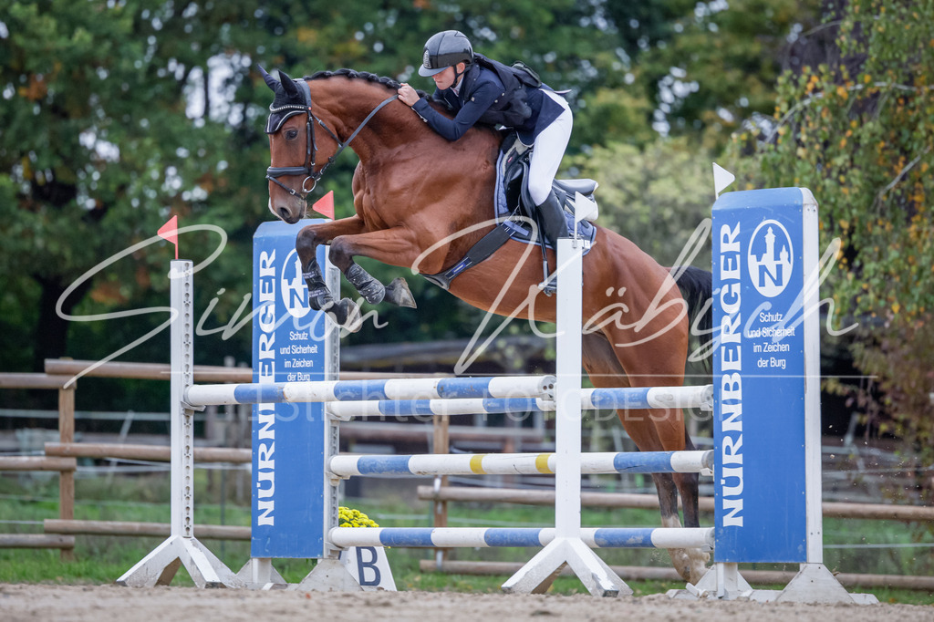 20251012-_3LI5052 | Tierfotografie Pferde, Hunde, Katzen, Haustiere.
Turnierfotografie Reitturniere, Reiten, Springreiten, Dressur in Hanau, dem Main-Kinzig-Kreis und dem Rhein-Main- Gebiet um Frankfurt