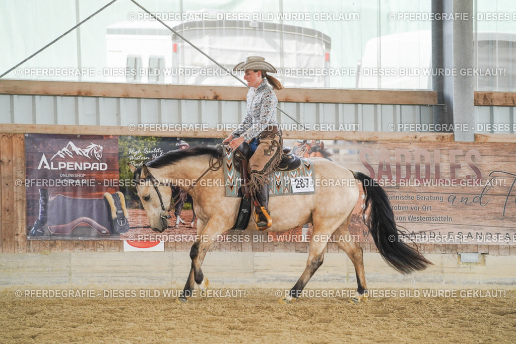 DSC06254 | Pferdegrafie