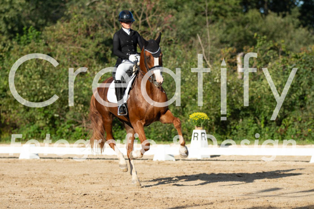 IMG_5824 | Creatify Fotografie