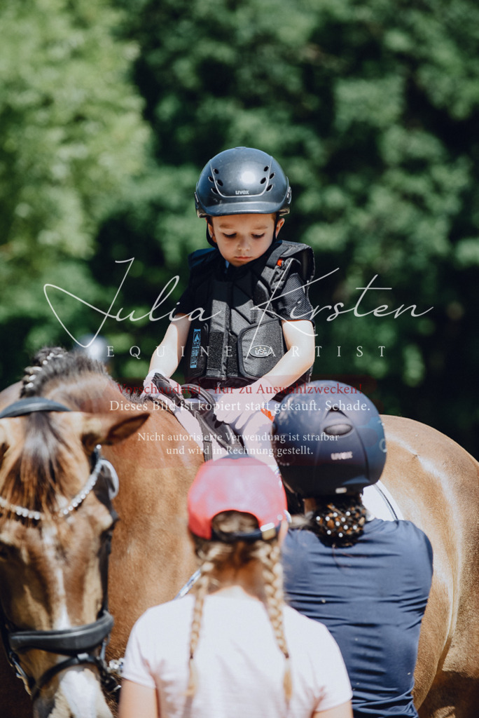 DSC_2645 | Pferde- und Turnierfotografie in Westsachsen. Pferdeportraits, Auftragszeichnungen und intuitive Kunst.