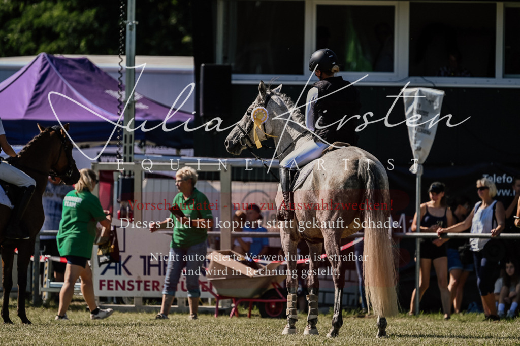 DSC_2578 | Pferde- und Turnierfotografie in Westsachsen. Pferdeportraits, Auftragszeichnungen und intuitive Kunst.