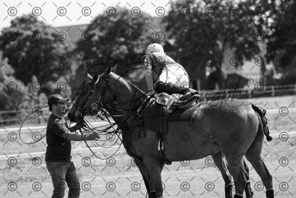 POL_2314 | andre_photographic