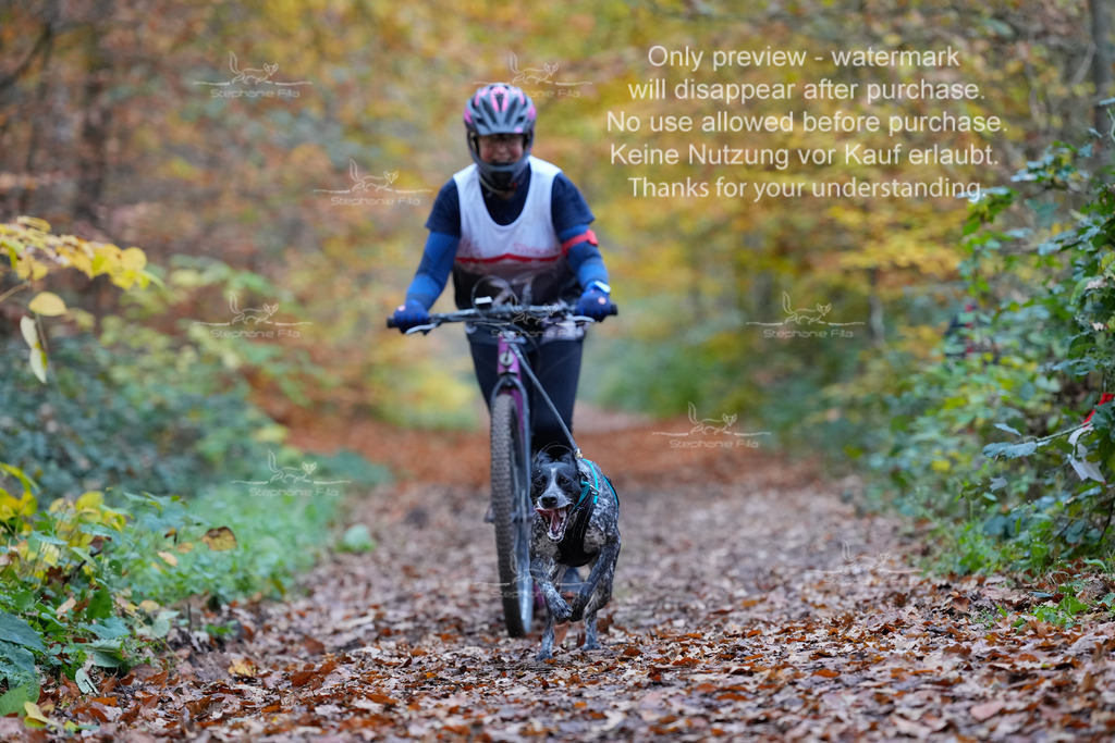 Scooter_So-81 | stephaniefillaphotographie - Realisiert mit Pictrs.com