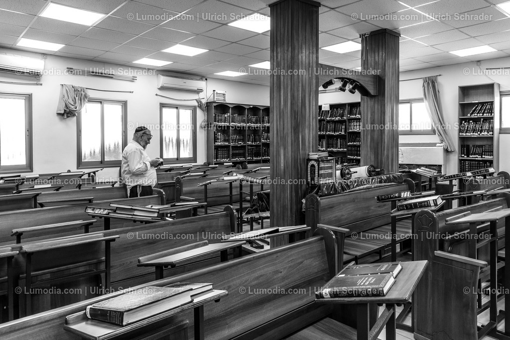 202510-161 | Stockfoto und Bilderpool mit Bildmaterial aus Deutschland, dem Harz, Halberstadt, Quedlinburg, Wernigerode und weltweit. Qualitativ hochwertige und professionelle Fotos anschauen und kaufen. - Realisiert mit Pictrs.com