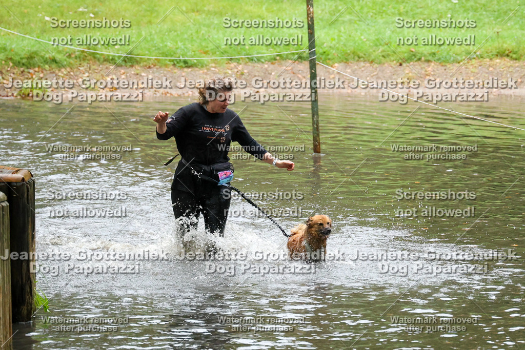 Dog Paparazzi -  SD1026-8257 | Dog Paparazzi Jeanette Grottendiek Fotografie & Videografie - Realisiert mit Pictrs.com