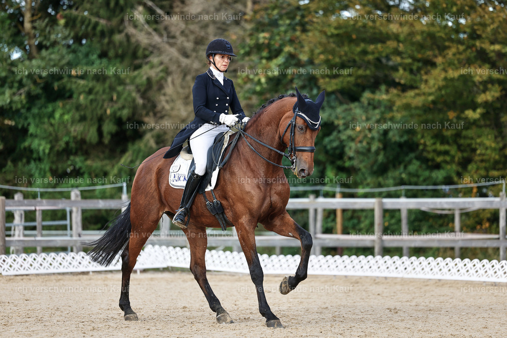 13-072-S___ -StoibPH-6996 | working equitationturnier fotograf videograf stoibphotography marixx film working equitation deutschland reitsport turnierfotografie eventfotografie equestrian events