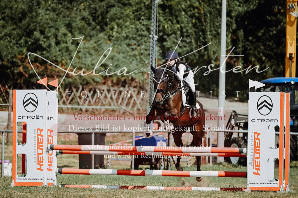 DSC_9793 | Pferde- und Turnierfotografie in Westsachsen. Pferdeportraits, Auftragszeichnungen und intuitive Kunst.