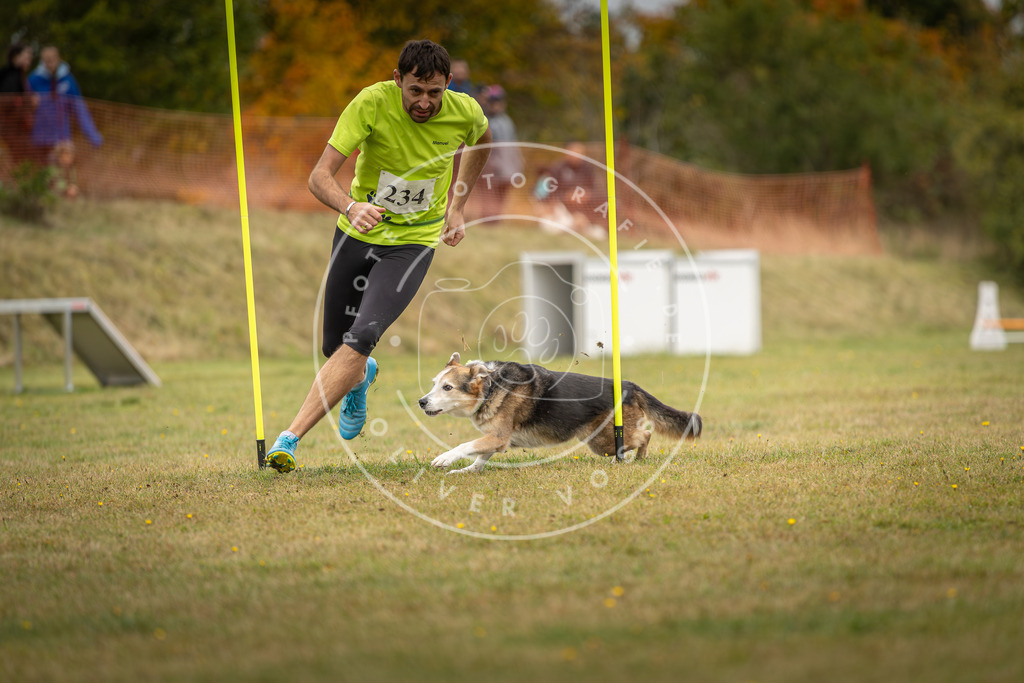 Pfotenfotografie_DV3A5174 | Hundefotografie, Tierfotograf, Pfotenfotografie, Fotoshooting Hund, Hunde Portrait, Hundesport, Hundeportraits, Heideshooting, Hunde, Sportfotograf, Hundefotograf, Turnierhundsport, THS,  - Realisiert mit Pictrs.com