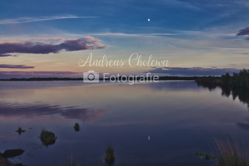 Die Spiegelung | Der Onlineshop für malerische Fotografien aus dem Landkreis Vechta✅ Premium Druck auf Leinwand✅ Acryl✅ oder Alu-Dibond✅➤Jetzt Bestellen! - Realisiert mit Pictrs.com