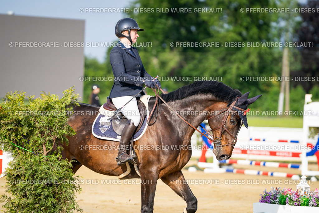 DSC02833 | Pferdegrafie