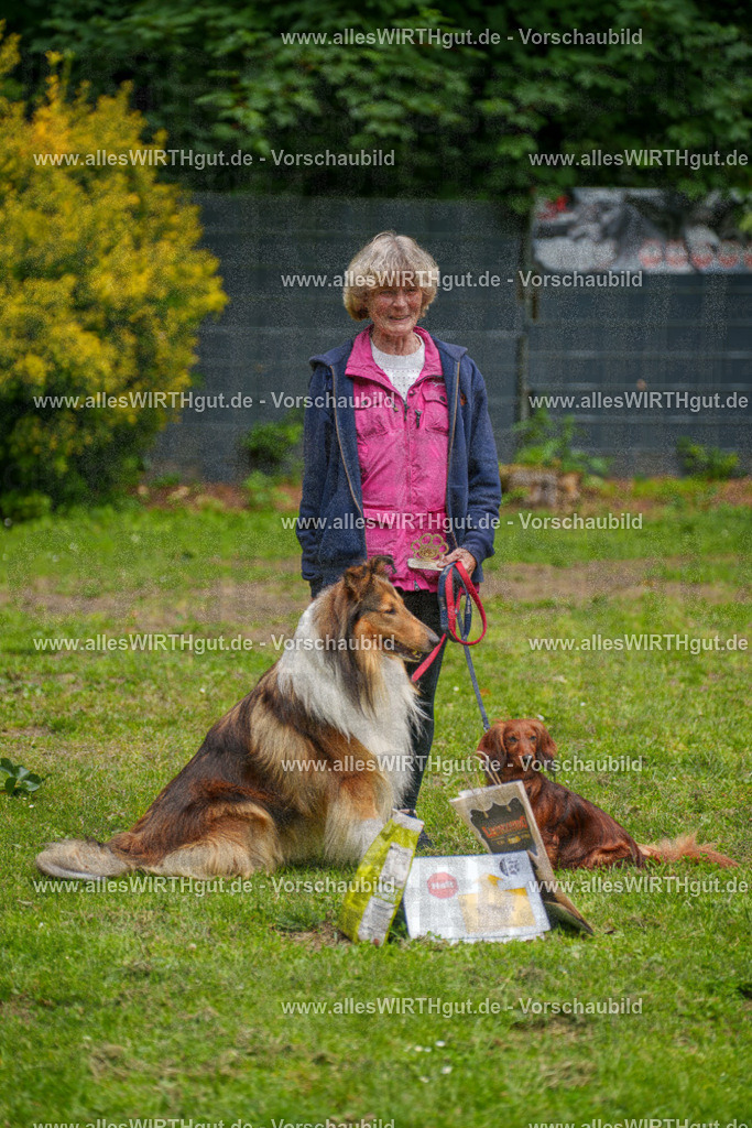 @allesWIRTHgut_Tierfotografie - www.allesWIRTHgut.de - 115154-7R508689 | Professionelle Tierfotografie in Mönchengladbach von Daniel Wirth (allesWIRTHgut). Liebevolle & natürliche Bilder von Hunden & Katzen für unvergessliche Erinnerungen.