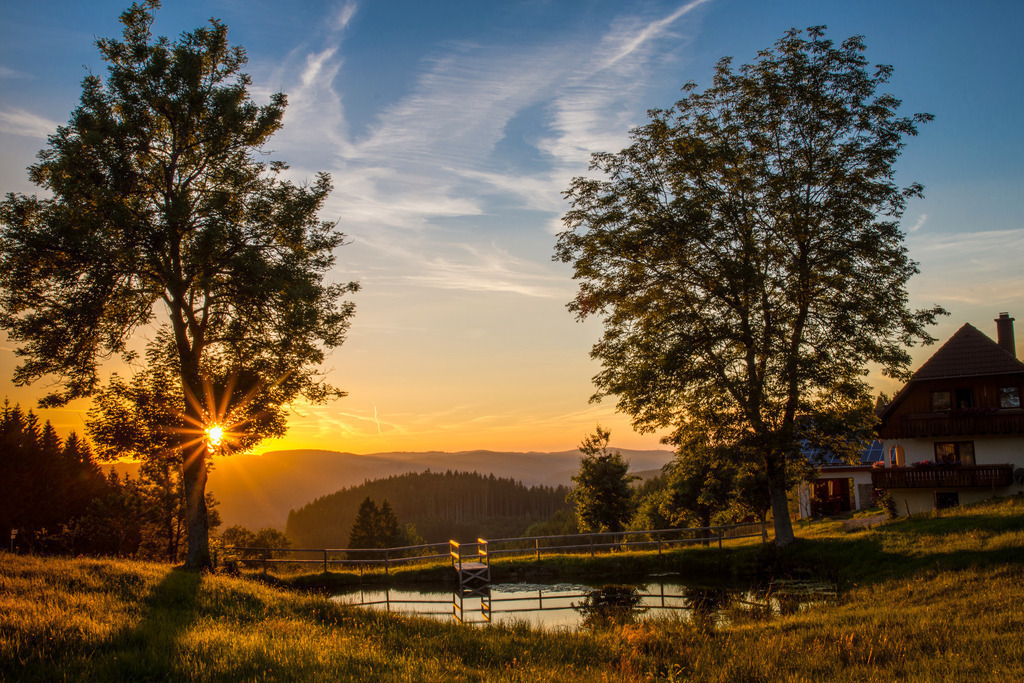 Abenstimmung am Weiher | Abendstimmung an einem kleinen Löschweiher bei Triberg-Nussbach - Realisiert mit Pictrs.com