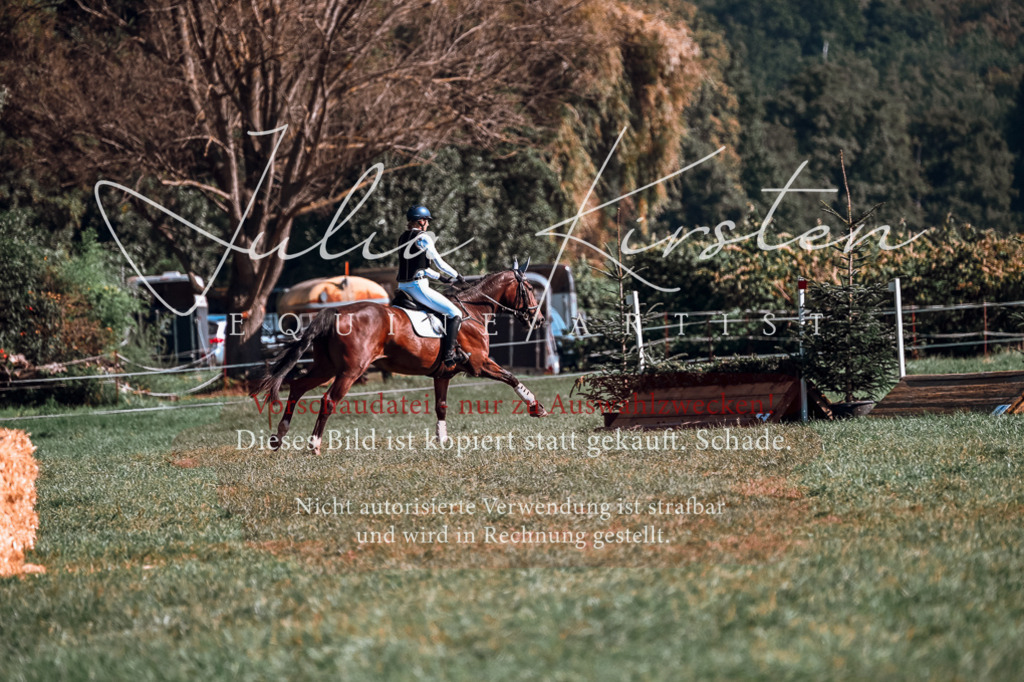 DSC_1089 | Pferde- und Turnierfotografie in Westsachsen. Pferdeportraits, Auftragszeichnungen und intuitive Kunst.