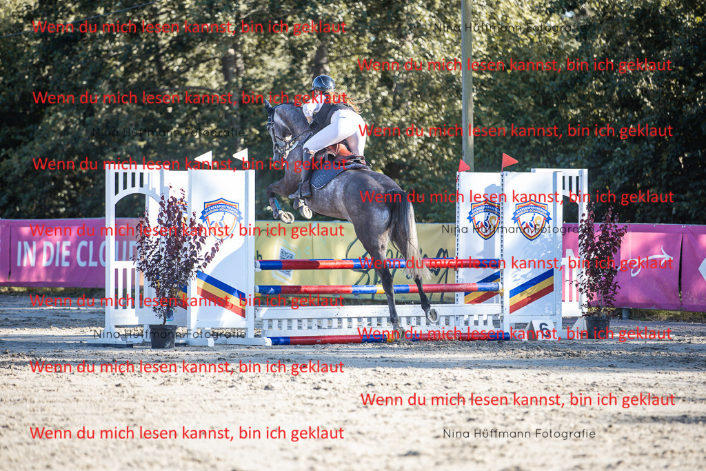 BK1A7753 | Turnierbilder Turnierfotos Nina Hüffmann Turnierfotografie Pferdefotografie Tierzeichnung Haustierzeichnung Pferdezeichnung Hundezeichnung Videograf  - Realisiert mit Pictrs.com