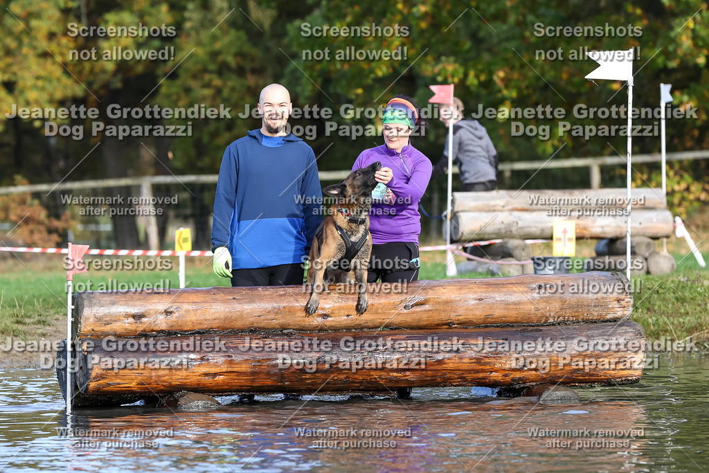 Dog Paparazzi - Strongdog 10-25-8336 | Dog Paparazzi Jeanette Grottendiek Fotografie & Videografie - Realisiert mit Pictrs.com