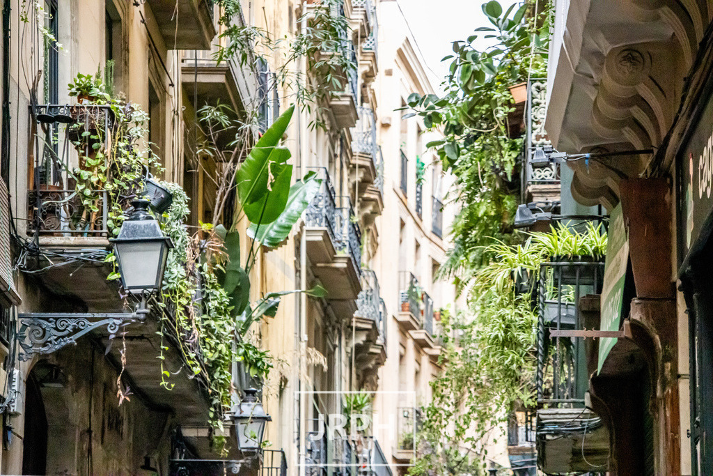 IMG_4132 | jrph - Realisiert mit Pictrs.com