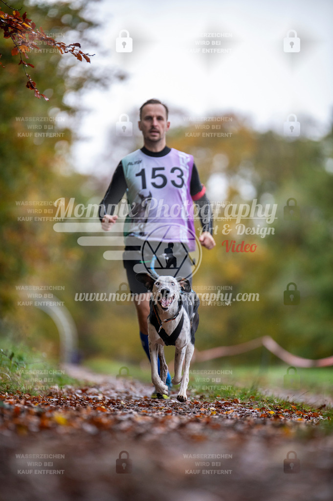 DBT_DAKM_SA_4_11_2023_Canicross-46 | PayLife