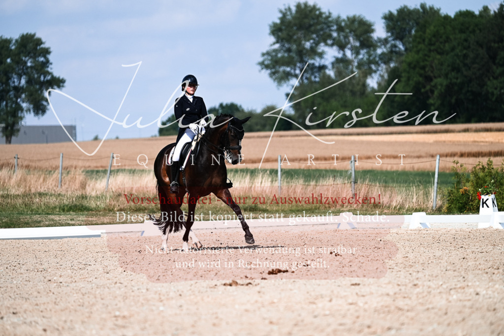 DSC_3351 | Pferde- und Turnierfotografie in Westsachsen. Pferdeportraits, Auftragszeichnungen und intuitive Kunst.